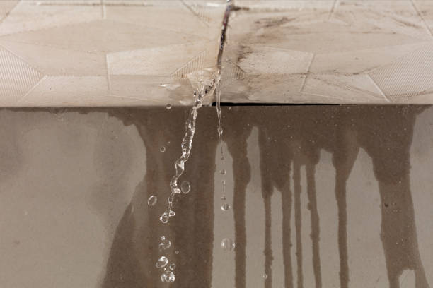 Professional Burst Pipe Cleanup technician working in Davenport, IA